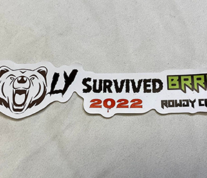 I Barely Survived BRRF 2022 sticker